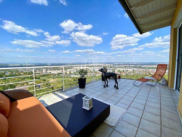 Flóra, Budapest, III. kerület képe