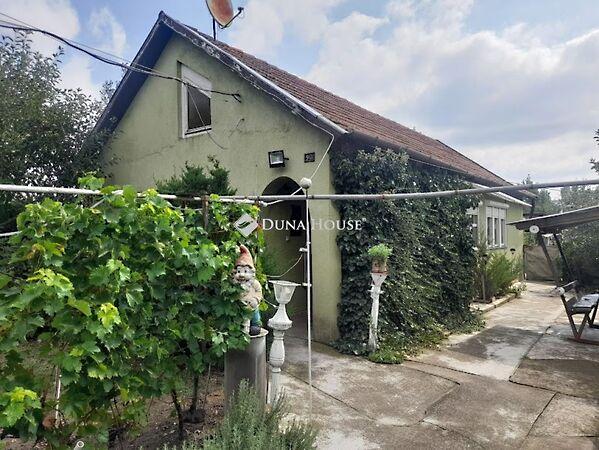 József Attila, Mezőberény képe