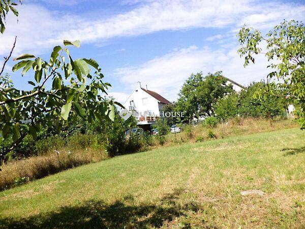 Székesfehérvár képe