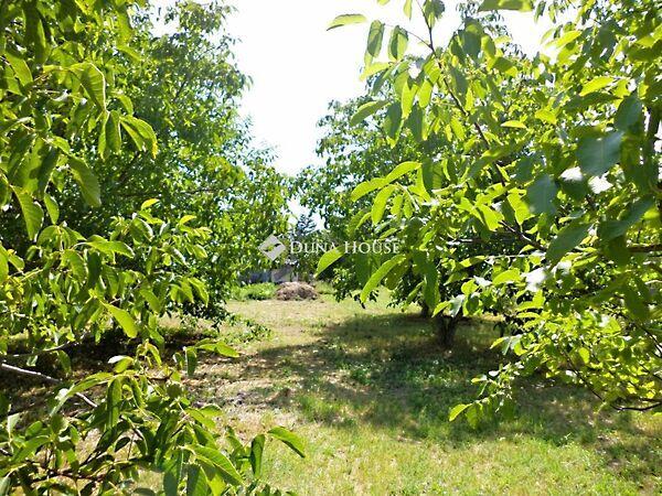 Székesfehérvár képe