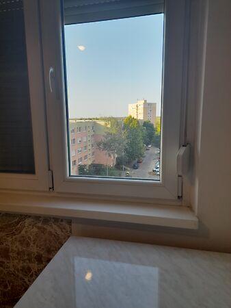 Lóverseny, Kecskemét képe