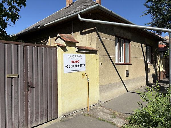 Szántó Kovács János, Hódmezővásárhely képe