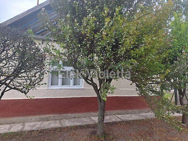 Erzsébet krt., Újszász képe