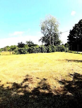 Mendei, Budapest, XVII. kerület képe