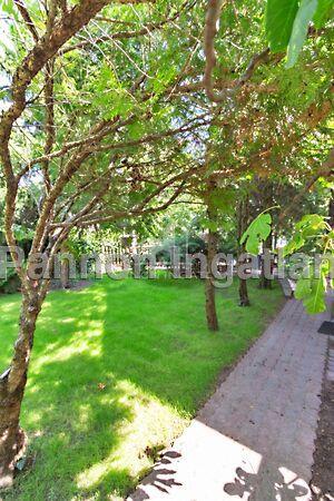 Balatonalmádi képe