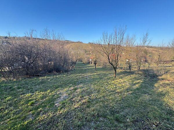 Zalaszentgrót képe