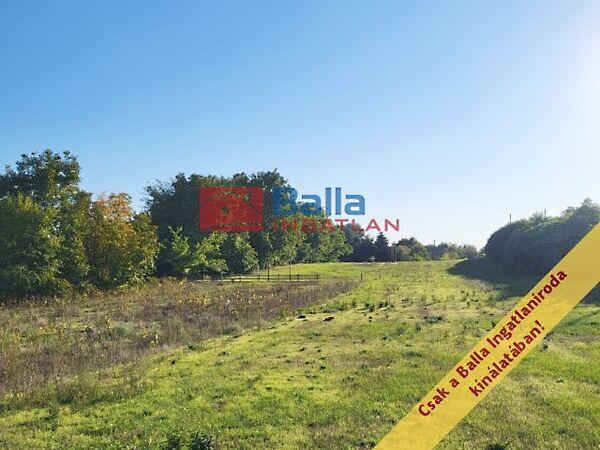 Páskom, Tóalmás képe