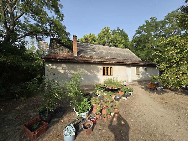 Félegyházi, Szank képe