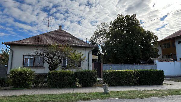 Fő, Tótkomlós képe