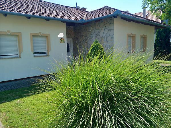 Kehidakustány képe