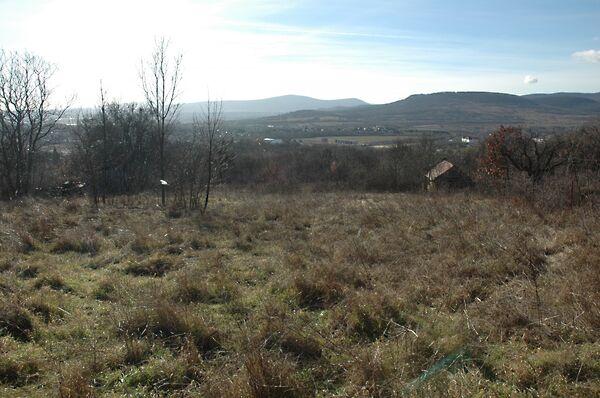 Barackos, Szentendre képe