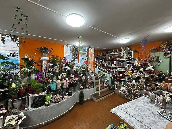 Ugocsa, Budapest, XII. kerület képe