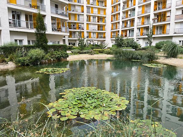 Máriássy, Budapest, IX. kerület képe