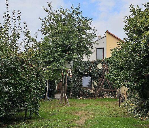 Székesfehérvár képe