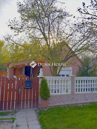 Petőfi, Ellend képe