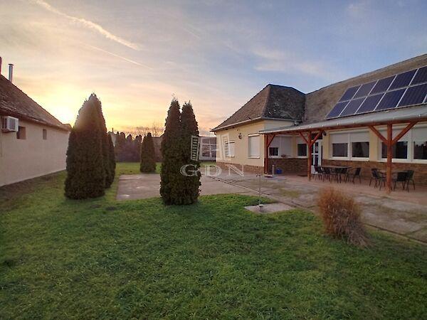 Petőfi Sándor, Vaskút képe