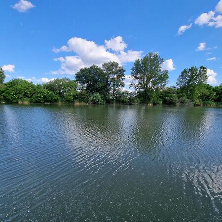 Békésszentandrás képe