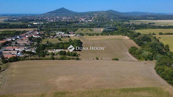 Virágos, Villány képe