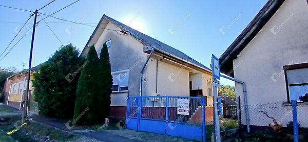 Vasboldogasszony képe