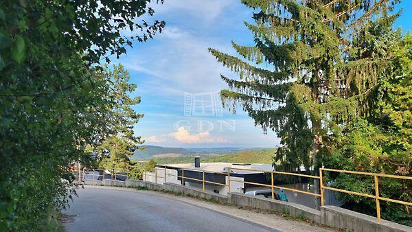 Koppány, Solymár képe