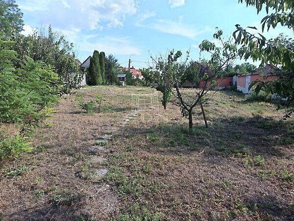 Rákóczi, Szada képe