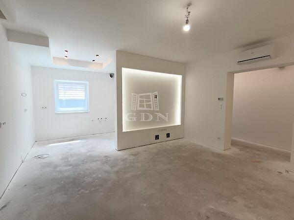 Kossuth Lajos, Mogyoród képe