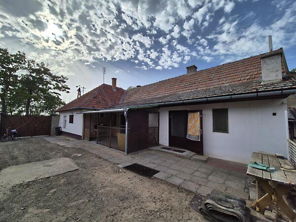 Pacsirta, Jánoshalma képe