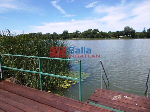 Domariba, Dunavarsány képe