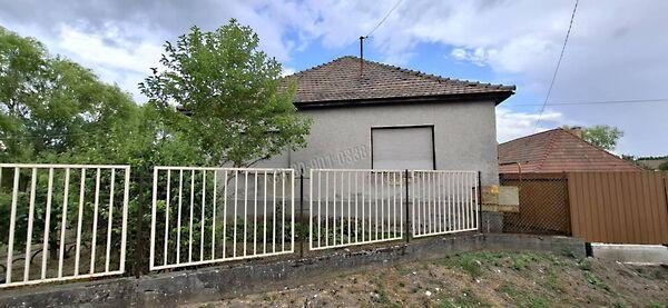 Zagyvaszántó képe