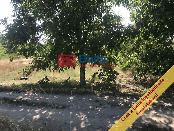 Vincellér, Gyömrő képe