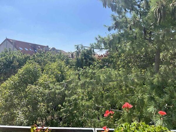 Budapest, II. kerület képe