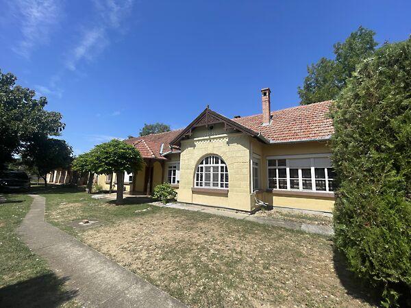 Szabó Dezső, Békés képe