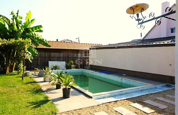 Besztercei, Vecsés képe