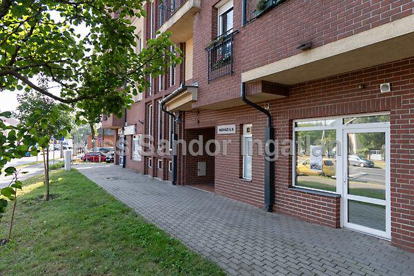 Hadházi, Debrecen képe