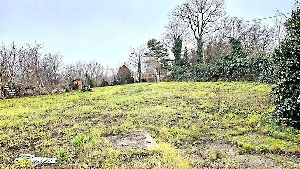 Tárnok -, Tárnok képe