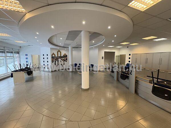 Endresz György, Pécs képe