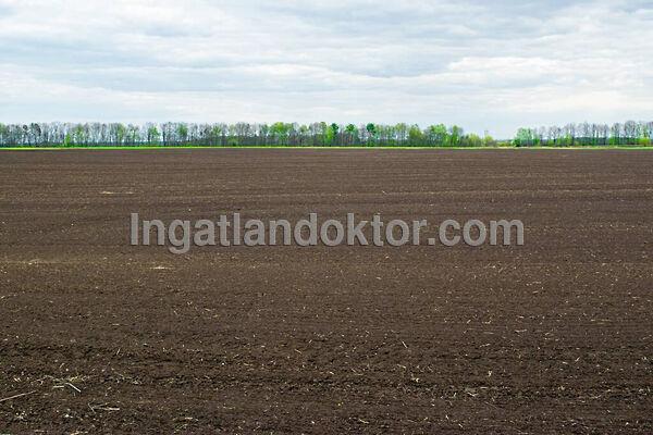 Kiskunlacháza képe