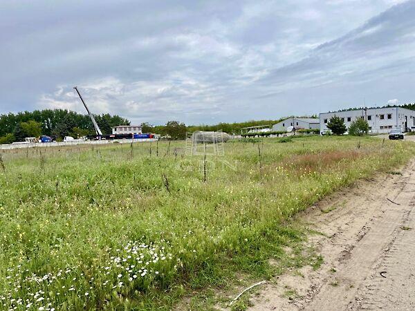 Dinamikusan fejlődő, Felsőpakony képe