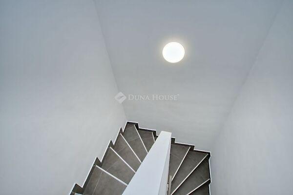 Székfűvirág, Budapest, X. kerület képe