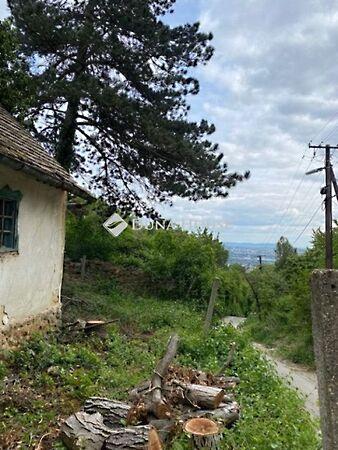 Nagyszkókói, Pécs képe