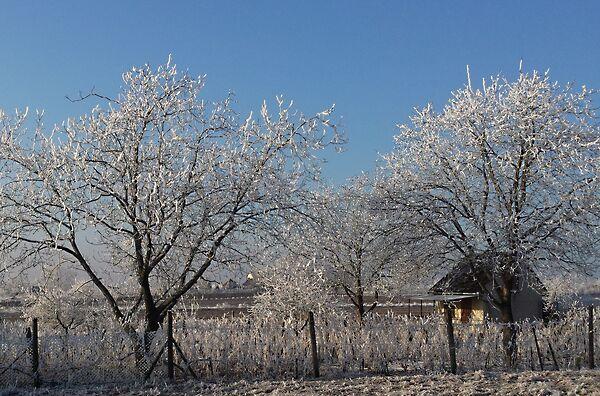 Judit Ingatlan és, Monor képe