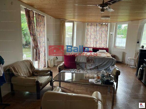 Virág, Baracska képe