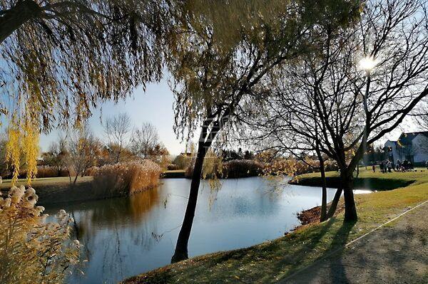 Alkotmány utca, Taksony képe