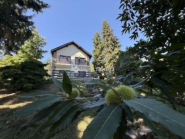 Felsőerdő, Kőszeg képe