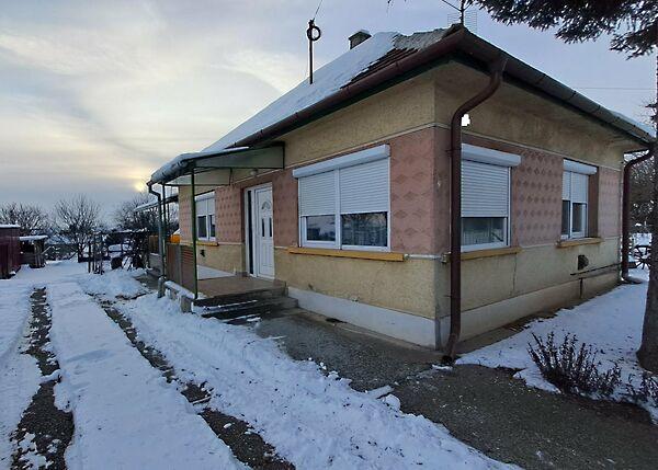 Judit Ingatlan és, Gomba képe