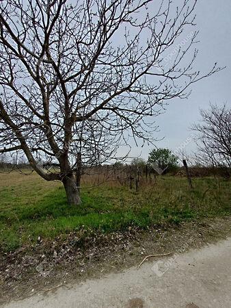 Fertőszentmiklós képe