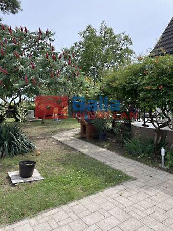 Géza fejedelem, Gárdony képe