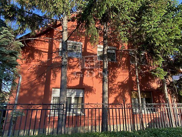 Árpád utca, Szigethalom képe