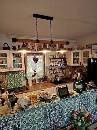 Móricz Zsigmond, Pogány képe