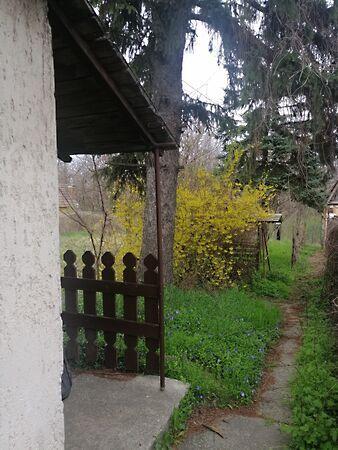 Vértesszőlős képe